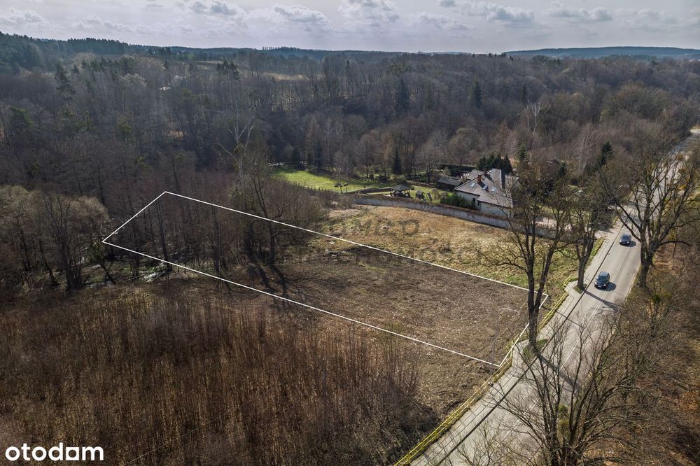 Działka z bezpośrednim dostępem do rzeki i własnym kawałkiem lasu. - Widok 3