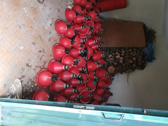 100 Bebedouros Completos Frangos Galinhas Galos Outras Aves [10€/Un]