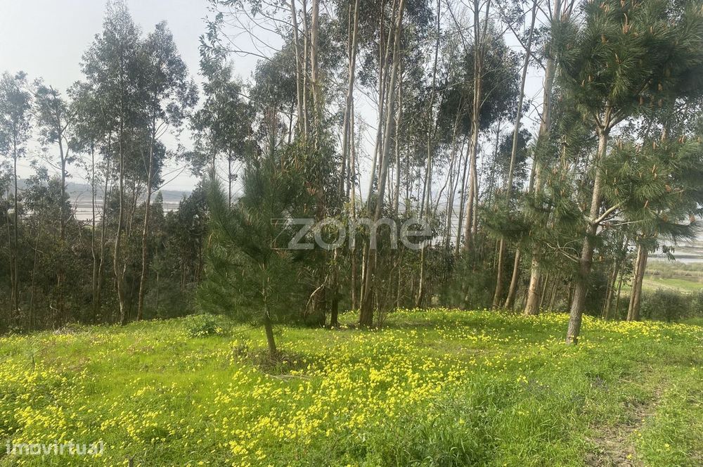 Investimento ou desenvolvimento de projeto rural, no Alqueidão