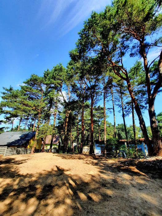 Wynajem domków2026 Wczasy Brenno DELFINEK