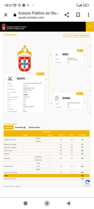 Cavalo Garanhão PSL