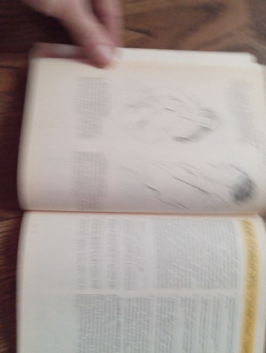 Секс  в жизни мужчины