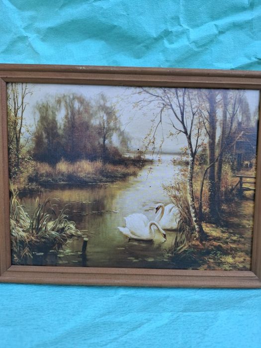 Z. Konarski Para łabędzi obrazek vintage