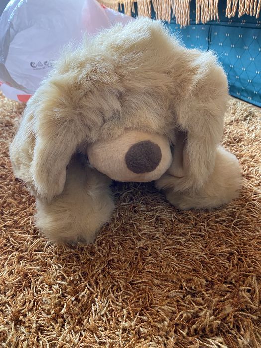 Cãozinho de peluche bom estado
