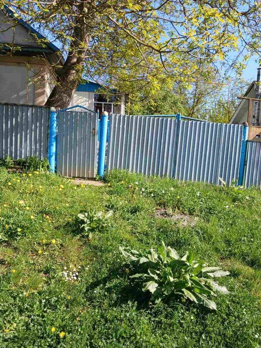 Продається будинок село Ходорівці
