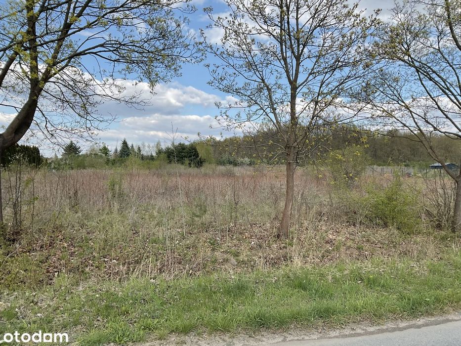 Działka budowlana 3000 m² w otoczeniu lasu