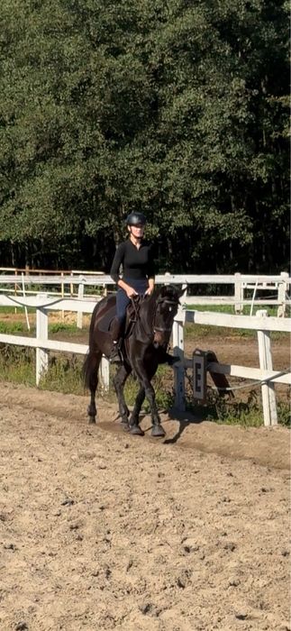 Sprzedam  klacz do towarzystwa/hodowli/lekkich jazd