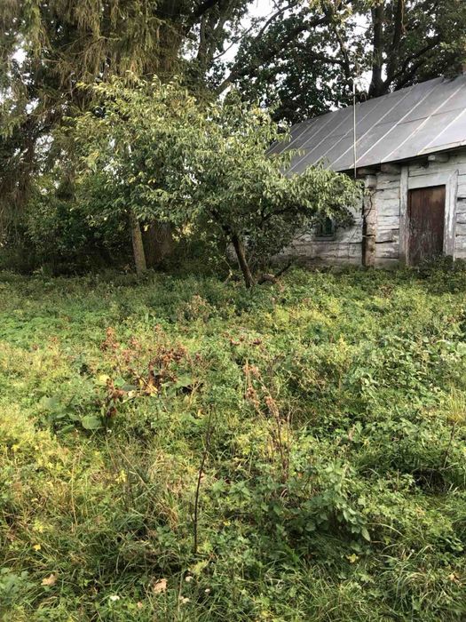 Продаж земельної ділянки Гориньград 1