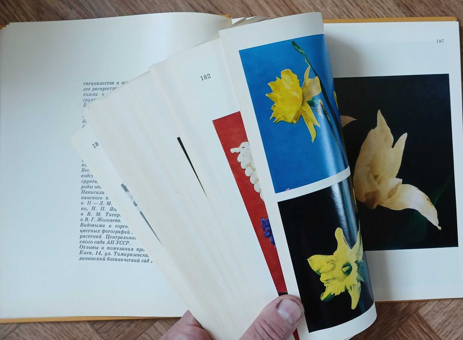 Книга-альбом "Цветы", Киев 1972 г.