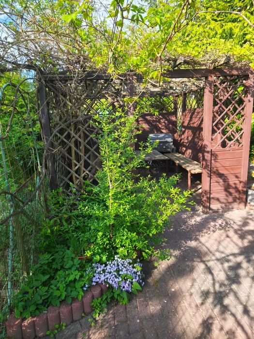 Sprzedam urokliwą działkę ROD Pogodny - Widok 6