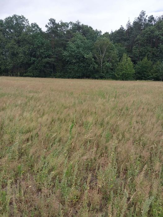 Działka budowlana 0,10ha