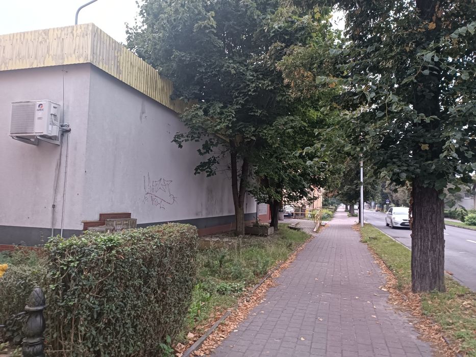 Lokal użytkowy do prowadzenia działalności gospodarczej