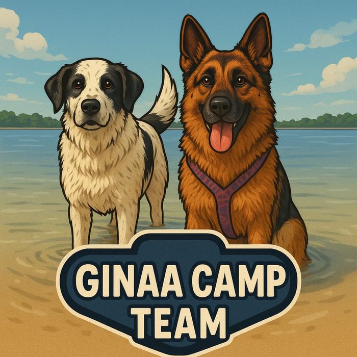 GinaaCamp Hotel dla psów i kotów / ośrodek dla psów / kochamy mądrze