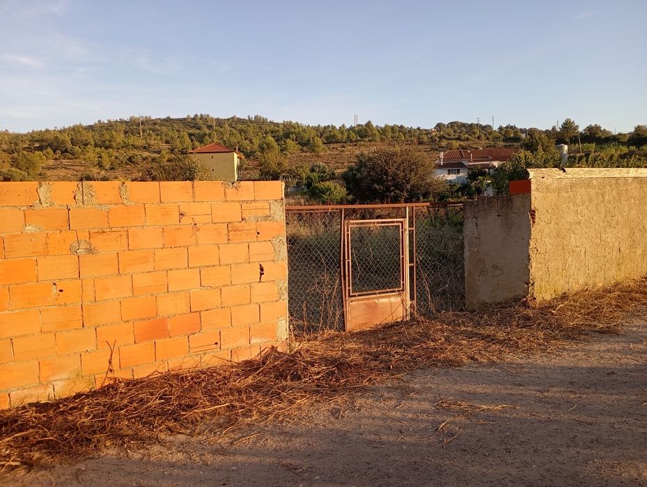 Terreno agrícola