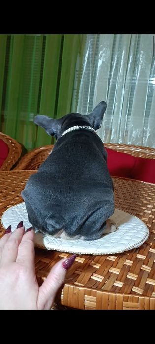 Мальчик голубой подпал