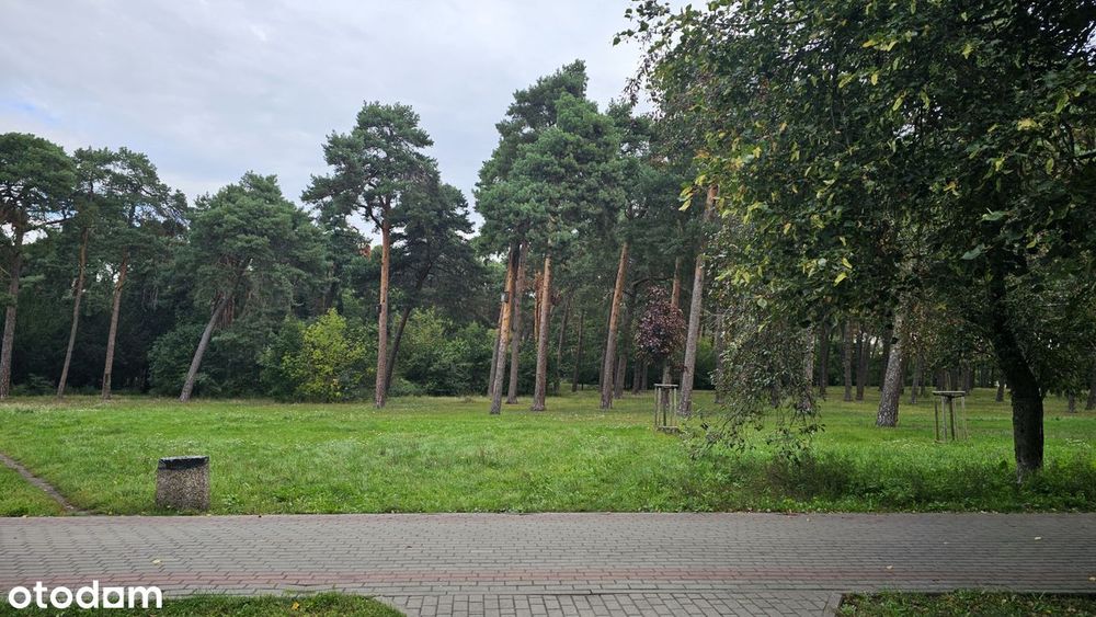 Zdjęcie 8