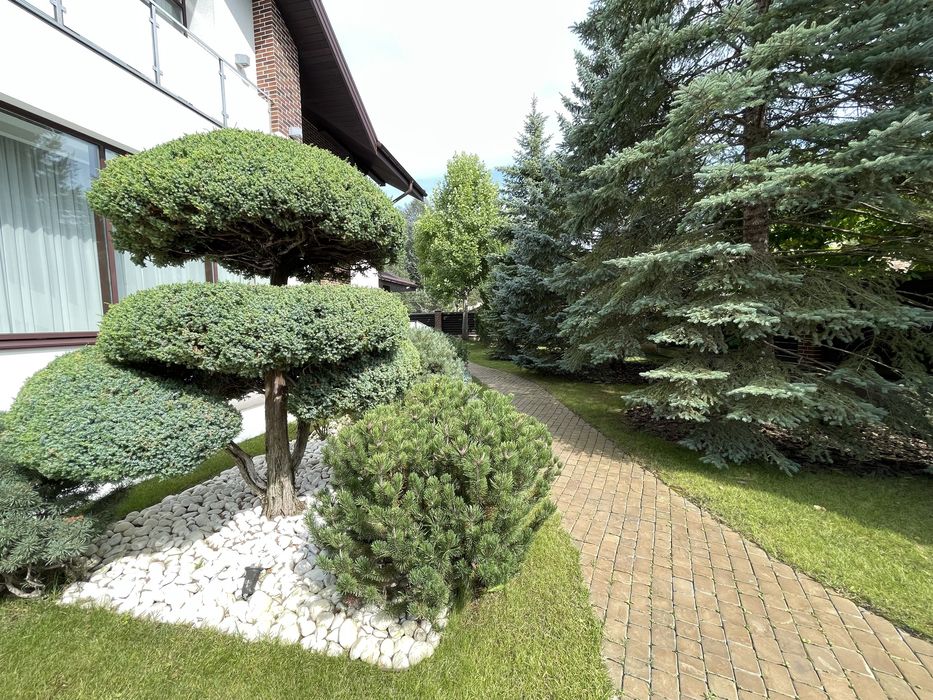 Продам будинок закрита вулиця з ремонтом Гореничі Стоянка Ліс - Вид 6