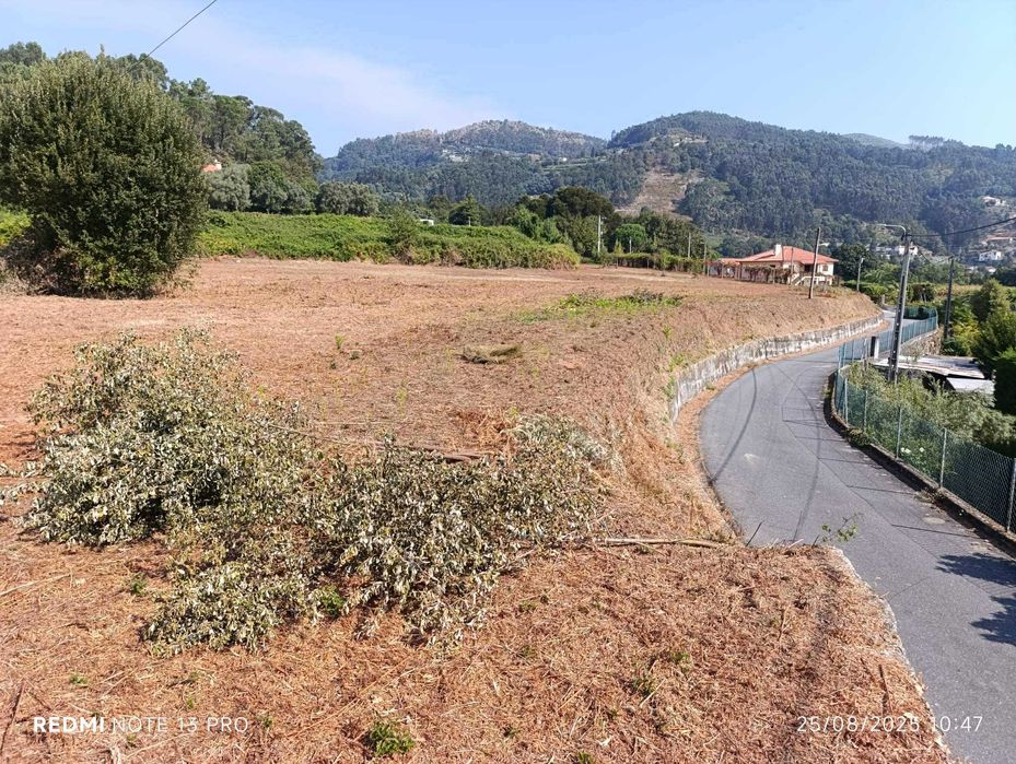 Terreno à venda em Madalena (Jolda)