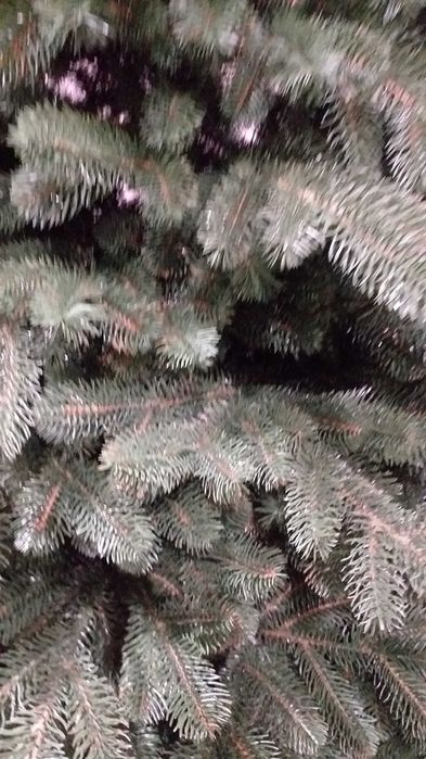 Mega cena Jodła królewska Snatpre automat 100% PE 1,8m 2,2m