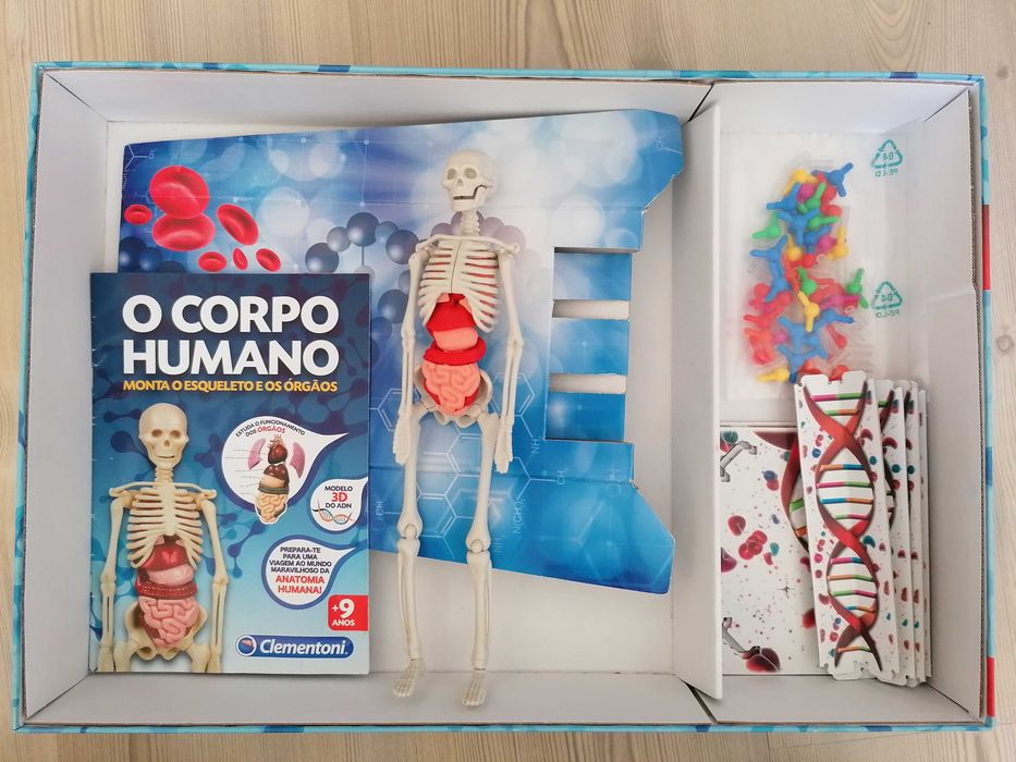 Puzzle didático do corpo humano
