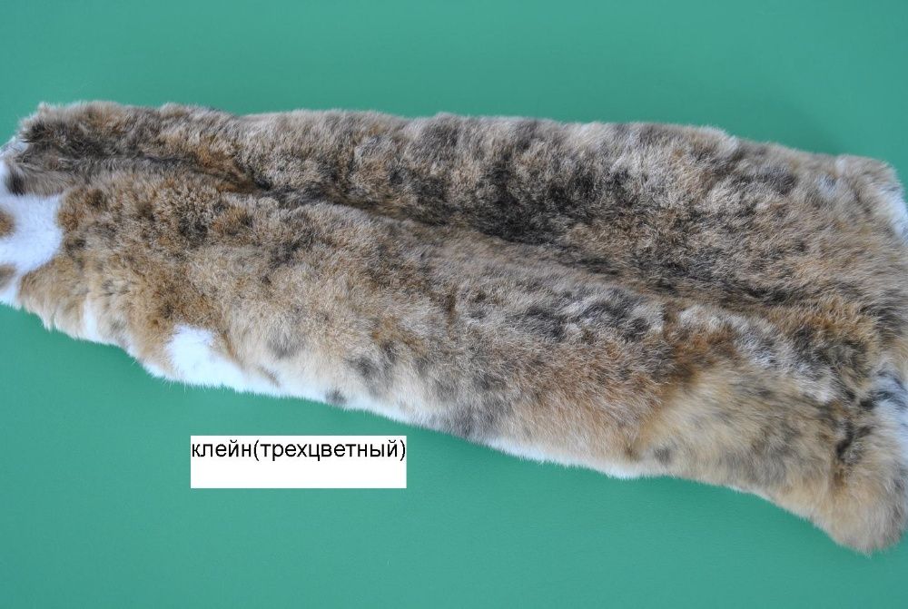 Мех кролика рекс. Шкурки