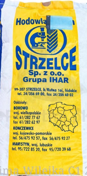 Pszenica ozima Wilejka