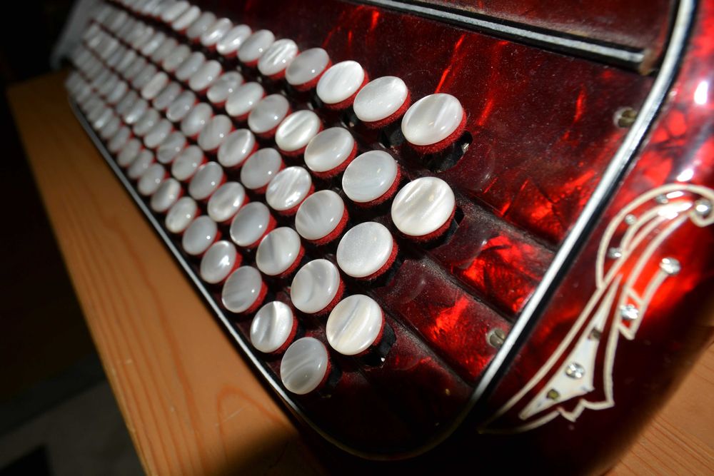 Collector's Concertina in Perfect Condition – Make Your Offer!64283974096131121