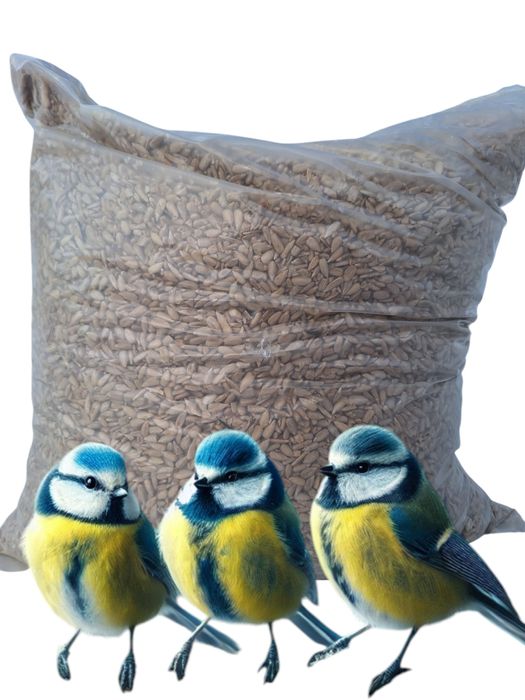 Słonecznik łuskany 5 kg Gratis 3.kolb tłuszczowych