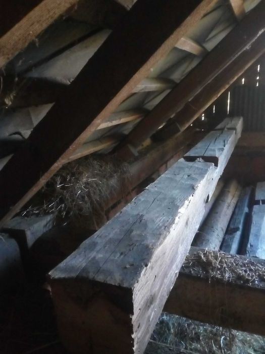 Stare belki ręcznie ciosane, drewno  iglaste cena za 1 mb