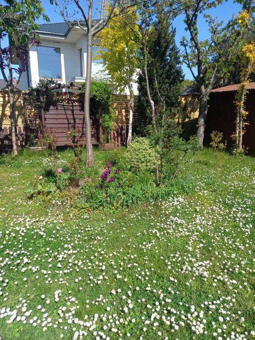 Pokój jednoosobowy w domu wolnostojącym - Więcej