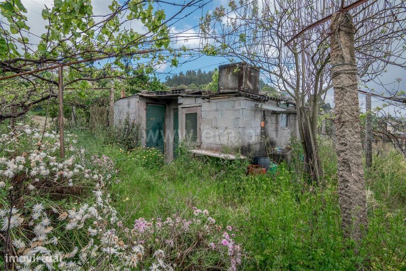 Terreno / Cinfães, Souselo