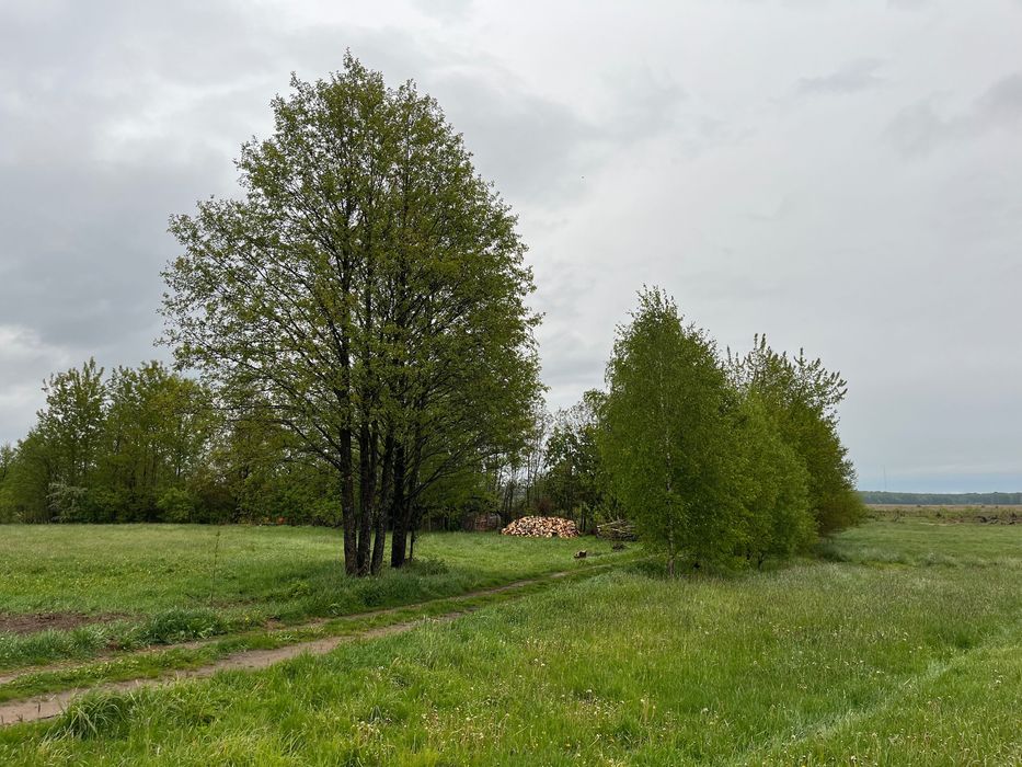 Działka na sprzedaż Ruda