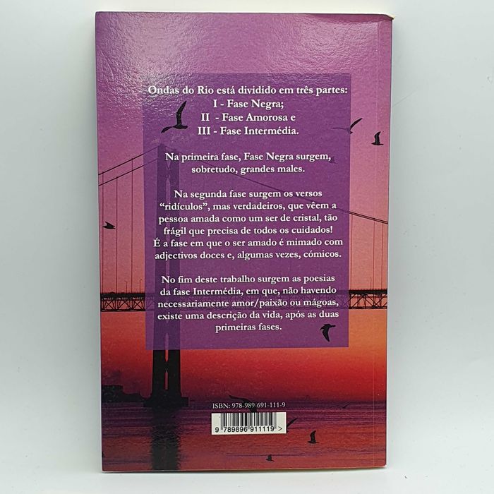 Livro - Domingos Pinto Coelho - Ondas do Rio - PAR5-SITE