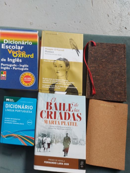 2 livros em espanhol  2 dicionários e 2  blocos de apontamentos