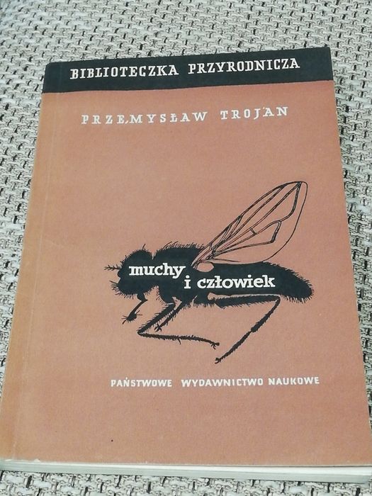 Muchy i człowiek Trojan