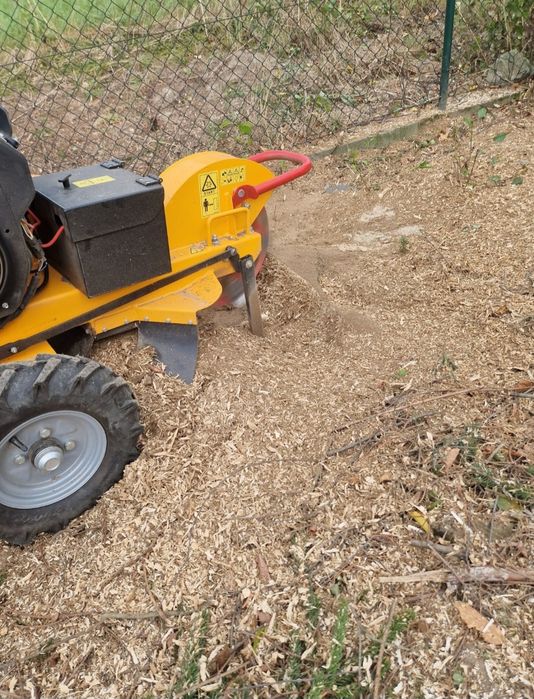 Frezowanie pni, wycinka drzew, karczowanie, mulczowanie, usuwanie pni