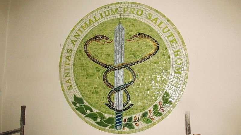 Mozaiki artystyczne - pracownia mozaiki - mozaika artystyczna