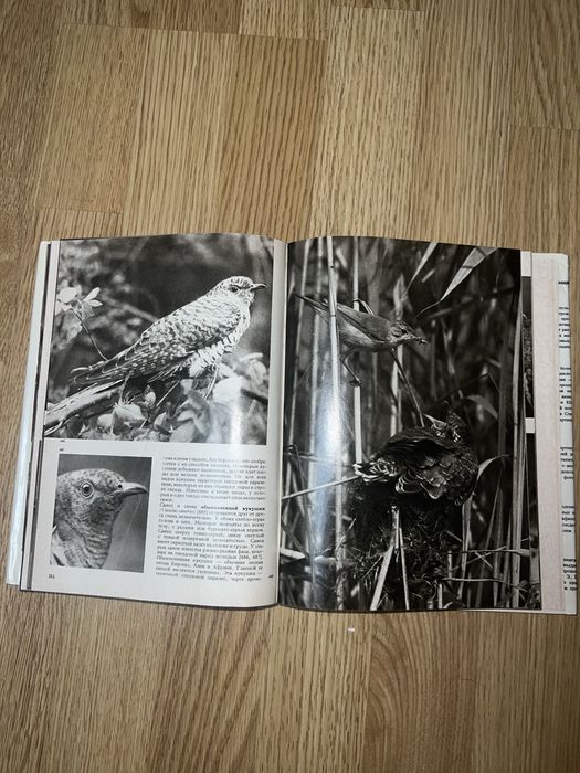 Ілюстрована енциклопедія птахів, Ян Ганзак, Прага, 1985