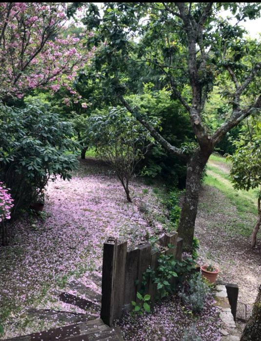 ZEN # Casa do Brezo , Paredes de Coura