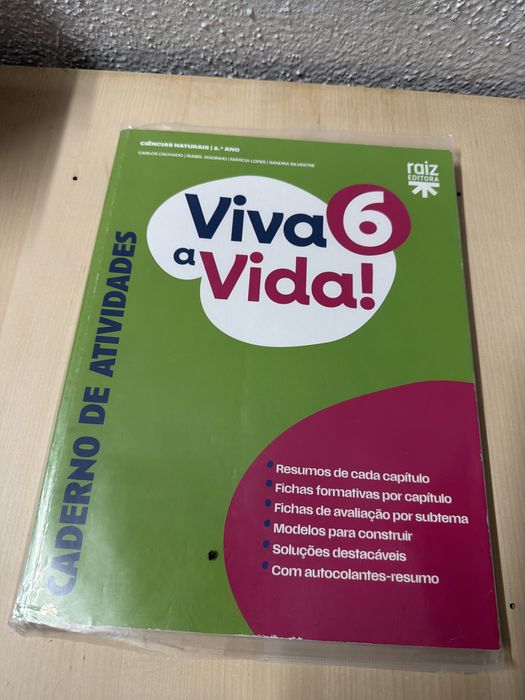 Cadernos de atividades 6° Ano (Fichas)