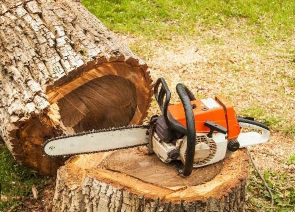 Обрезка деревьев