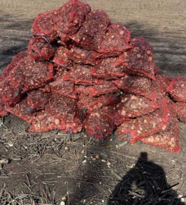 Дрова твердые Дробленная Акация,берест ветка в мешках / Насыпью /Бегах