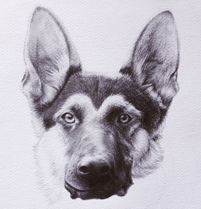 Retratos a grafite/carvão