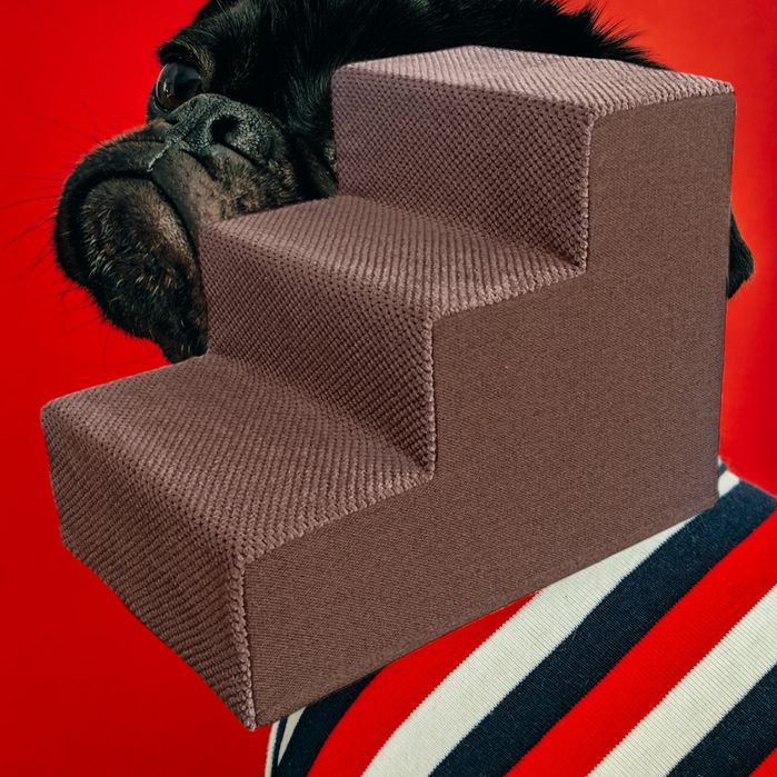 Коричневі сходинки для мопсів та інших собачок – чудовий аксесуар для