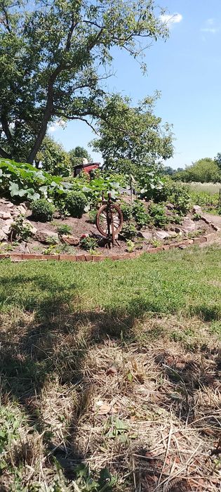 Продаж дачі,село Головківка Чигиринський район, Черкаської області