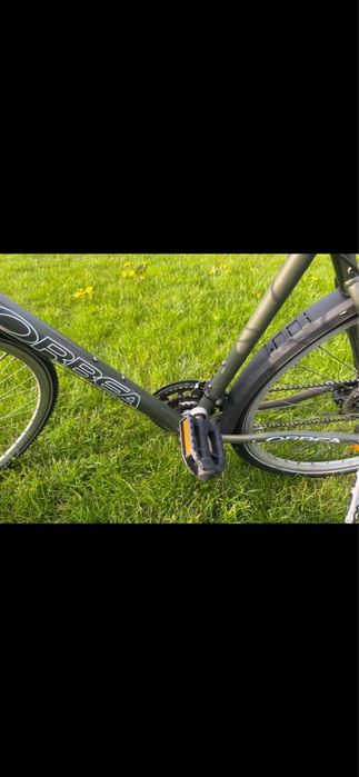 Męski Rower Orbea Egino Xsport