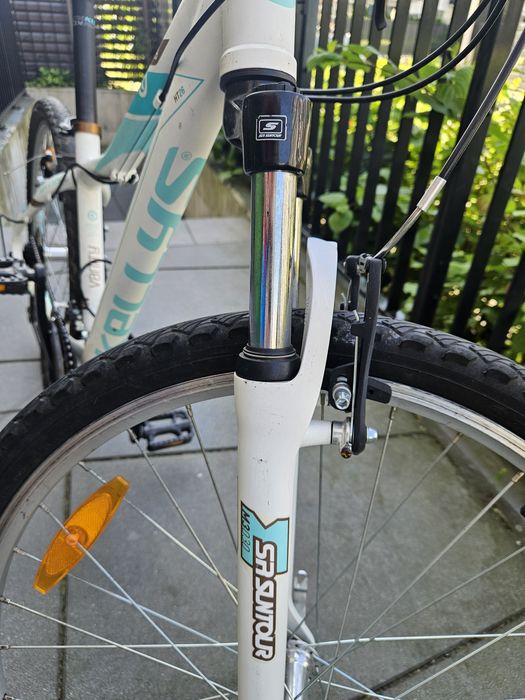 Rower Kellys Vanity 10, koła 26 cali