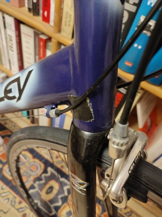 Rower Ridley Icarus, rama 58, osprzęt Campagnolo