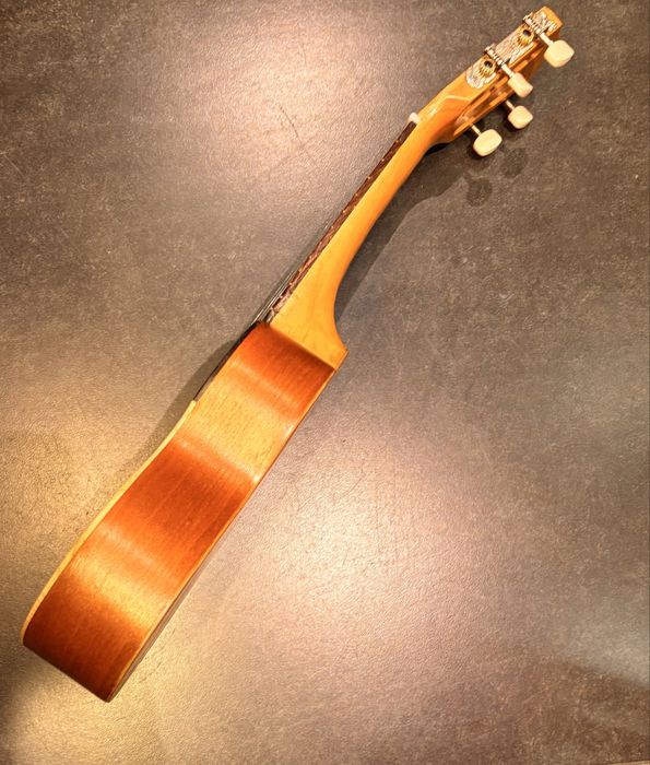 Cavaquinho boca de raia