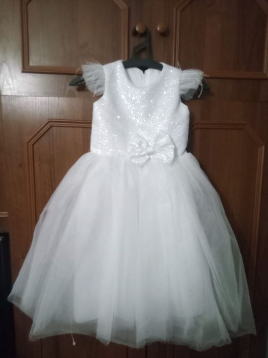 Продаю або здам в оренду ( якщо невідправляти поштою )